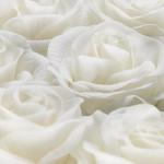 Rozenbox rond, 8 rozen, stabiele bloemenbox wit, 10 jaar houdbaar, cadeau-idee, decoratieve bloemenbox, wit