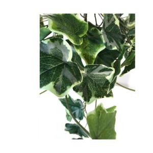 Efeu Hedera Gala, met 180 vellen, ca. 48 cm - kunstbloemen  bloemen