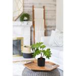 2 stuks tropische , klein, kunstplant in pot, zwart, decoratieve planten in pot, als echt, tropische geldplant, plastic planten voor woonkamer, kantoor, decoratie
