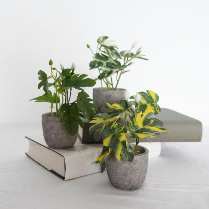 3 stuks , mini-, echte eucalyptus, rozemarijn, babyborrel, klein, met potten, tafeldecoratie, huis, balkon, kantoor, decoratie (3, groen)