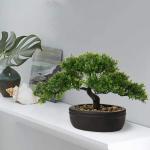 Kunstbonsai Natuurgetrouwe kunstplant, kunstboom, bonsai, ceder, grenen, podocarpus, plastic plant, kunstplant met keramische pot in zwart, voor badkamerdecoratie, desktop, kantoor