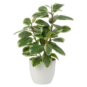 25 cm in pot voor woondecoratie, kunstkamerplant, camellia, bloemstukken, thuis- en kantoor, decoratie, desktop, bonsai, met potten, tafeldecoratie huis, balkon,