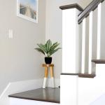 Kunstplant Calathea, kamerplant, kunstplant als echt struikachtig met 8 gekleurde bladeren in kunststof pot, hoogte 33 cm, groen-rood