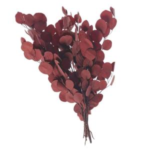Gedroogde eucalyptustakken, decoratieve eucalyptusbladeren, boeket, gedroogde eucalyptus, tafeldecoratie voor thuis, woonkamer, slaapkamer
