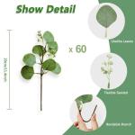 eucalyptus decoratie 60 stuks simulatie groene eucalyptus laat takken zilveren dollars eucalyptus plant bulk voor bruiloft, tuin, huis, kantoor decoratie