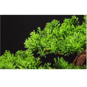 Künstlicher Bonsai-Baum Künstliche Bonsai-Kiefer, 61 cm, künstliche Topf-Kiefer, künstliche Pflanzen for Heim- und Bürodekoration, Höhe 40,6 cm Künstliche Bäume Pflanzen(D)