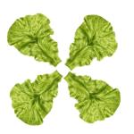 2 Sätze Salat-Requisite Simulation Salatblätter Gemüseblatt-Requisite Künstliche Salatblätter Simulation Von Salatblattmodellen Gemüsestütze Lebensmitteldekor Green PVC 4 St