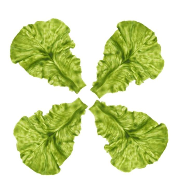 2 Sätze Salat-Requisite Simulation Salatblätter Gemüseblatt-Requisite Künstliche Salatblätter Simulation Von Salatblattmodellen Gemüsestütze Lebensmitteldekor Green PVC 4 St
