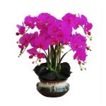 Kunstblumen Künstliche Orchideenblumen im Keramiktopf, Seiden-Phalaenopsis-Pflanzenarrangement für Bürotisch/Wohnzimmer/Schlafzimmerdekoration für jeden Anlass