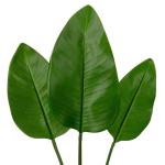 3 stuks grote kunstmatige paradijsvogelbladeren met lange steel verschillende maten tropische nep plantenblad plastic palmbladeren realistische bananenbladeren voor bloemstuk huis 