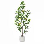 Citroenboom, , 150 cm, grote citroenboom met levensechte vruchten in witte pot, als echt voor moderne decoratie (1 stuks)