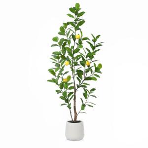 Citroenboom, , 150 cm, grote citroenboom met levensechte vruchten in witte pot, als echt voor moderne decoratie (1 stuks)