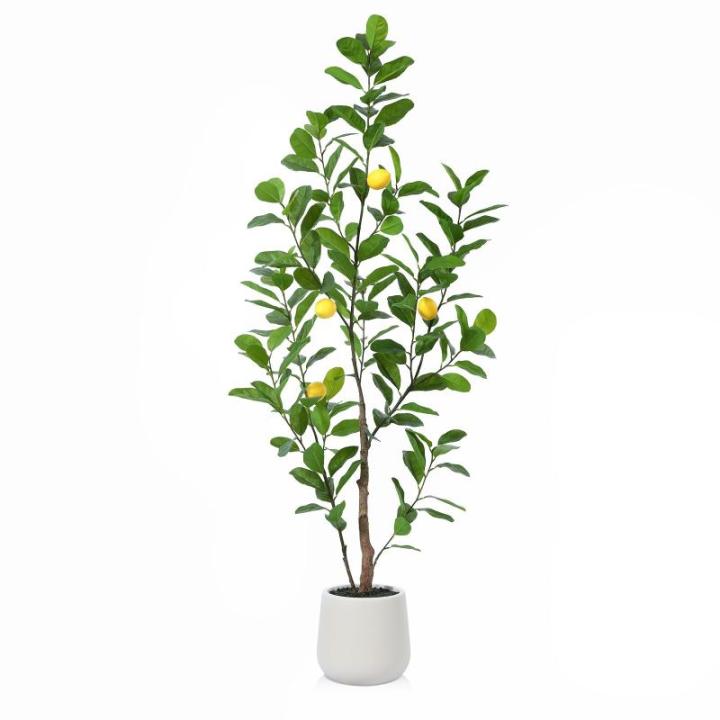 Citroenboom, , 150 cm, grote citroenboom met levensechte vruchten in witte pot, als echt voor moderne decoratie (1 stuks)