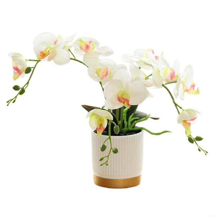 Künstliche Blume, Phalaenopsis-Bonsai-Dekoration, künstliche Orchidee, lebensechte künstliche Blume, in Weißgold-Topf mit Rand (weiß)