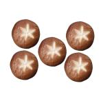 5 Stück Simulierte Shiitake Pilze Kleine Pilz Dekoration Simulierte Pilz Dekoration Künstliche Pilze Dekorative Foto Requisite Mini Künstliche Pilze Realistische Shiitake