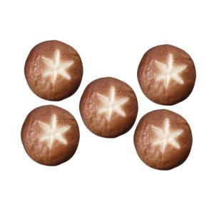 5 Stück Simulierte Shiitake Pilze Kleine Pilz Dekoration Simulierte Pilz Dekoration Künstliche Pilze Dekorative Foto Requisite Mini Künstliche Pilze Realistische Shiitake