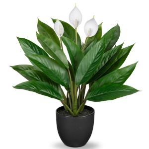 Kunstplant als echte kunstplant, decoratieve plant Calathea, struikachtig met 22 bladeren in kunststof pot, kamerplant, hoogte 43 cm, groen