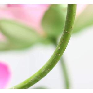 Kunstblumen Künstliche Blumen mit Pflanzgefäß, Lotus in Vase, künstliche Blumen im Topf, Simulationsdekoration, realistische Bonsai-Foto-Requisite für jeden Anlass