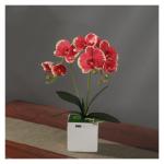 Kunstblumen Künstliches Phalaenopsis-Blumenarrangement, künstliche Orchideen-Bonsai im Topf, Pflanze für Zuhause, Büro, Küche, Schlafzimmer für jeden Anlass