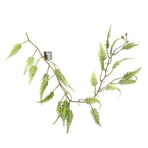 Ontwerp kunstmatige hangende planten