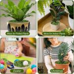 100 g kunstmos om te decoreren, knutselmos, nep decoratief mos om te knutselen, decoratie, voor muur, kerststal, aquarium, creatief groen, kamerplantendecoratie, modelbouw, donkerg