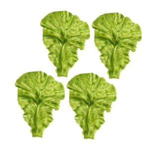 20 STK lebensechter Salatschmuck kunstpflanze künstliche Pflanzen Naturgetreues Modell Gemüse-Prop Seiten markiese Salat-Requisite Requisiten aus Restaurantsalatblättern PVC Gre