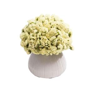 Kunstblumen Realistische künstliche Blume, künstliche Gypsophila-Blume mit Vase, getrocknete Blumen, Dekoration für Zuhause, Küche, Büro, Hotel für jeden Anlass