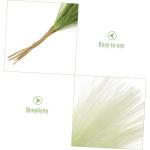 10st -Dekoration Reed-Layout-Requisiten Schilf Für Vase Schilfdekore Für Den Haushalt Zuhause Reed DIY Requisiten Schilfgras Ornamente Partyschilf Light Green Stoff