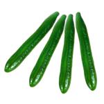 5 Sätze Simuliertes Gemüsemodell Küchendekoration Simulierte Gurkenmodelle Küchensimulationsgurke Simulation Gemüsemodell Fotografie-Requisite Gurkendekor Schaum Green 4 Stüc