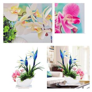 Kunstblumen Künstliche Blume mit Topf, Simulation Phalaenopsis, Eukalyptusblätter Tischdekoration Zubehör Blumenarrangements für jeden Anlass