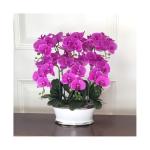 Kunstblumen Künstliche Pflanzen, künstliche Phalaenopsis-Orchidee, Schmetterlingsorchideen mit Keramik-Blumentopf, realistische Blumendarstellung im Topf für jeden Anlass