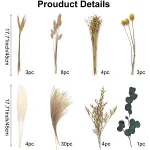 Gedroogde pampasdecoratie, gedroogde bloemen, natuurlijk, doe-het-zelf, droogbloemen, boeket, ideaal voor boho, woonkamer, bruiloft, slaapkamer en vazen (LZGSGO-0106)