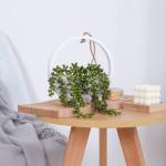 Kunstvetplanten, 2 stuks, hangende parelketting, plantenmand, kunstbloem, plant, voor binnen en buiten, bruiloft, feest, huis, tuin, wanddecoratie