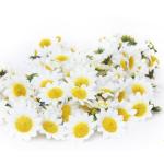 100 Stks Kunstmatige Gerbera Madeliefje Bloem Zonnebloem Hoofden voor DIY Wedding Party Decor