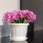 struiken, 12 bundels plastic bloemen voor buiten, kunstmatige viooltjes voor tuindecoratie, woondecoratie, vaas, tafelstuk (Fuchsia)