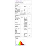 Nordmann Kunstkerstboom, 240 cm, met verlichting, warm en RGB led-lichtsnoer, 9 modi en afstandsbediening