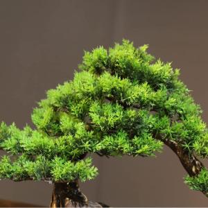 Künstlicher Bonsai-Baum Künstlicher Bonsai-Baum, Topfpflanze, Ornament, Bonsai-Simulation, Bonsai-Pflanze, gefälschte Pflanzendekoration, künstliche Zimmerpflanzen im Topf for 