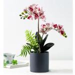 Kunstblumen Künstliche Orchideenblumen, gefälschte Phalaenopsis-Seidenorchideen in Töpfen, Bonsai-Pflanzen, Blumenarrangements für die Hochzeit zu Hause für jeden Anlass