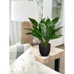 Kunstplant als echte kunstplant, decoratieve plant Calathea, struikachtig met 22 bladeren in kunststof pot, kamerplant, hoogte 43 cm, groen