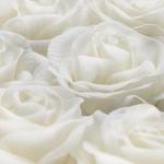 Rozenbox hart, 18 rozen, stevige bloemenbox, zwart, 10 jaar houdbaar, cadeau-idee, decoratieve bloemenbox, wit, 13 x 21 x 19 cm