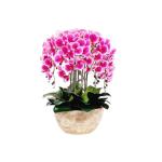 Kunstblumen Künstliches Phalaenopsis-Blumenarrangement – ​​Seidenorchideen für Heimdekoration, Hochzeiten, Partys und Büro – lebensecht für jeden Anlass