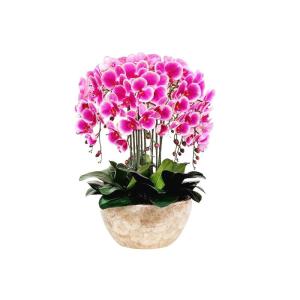 Kunstblumen Künstliches Phalaenopsis-Blumenarrangement – ​​Seidenorchideen für Heimdekoration, Hochzeiten, Partys und Büro – lebensecht für jeden Anlass
