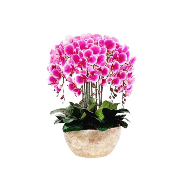 Kunstblumen Künstliches Phalaenopsis-Blumenarrangement – ​​Seidenorchideen für Heimdekoration, Hochzeiten, Partys und Büro – lebensecht für jeden Anlass