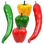 4 Sätze Simulationsmodell Paprika Schaufensterpuppe Maneküre- Set Schaufensterpfeffer Ziernieten Gefälschter Pfeffer Simulation Lebensmittelmodell Stütze Poly-Drache 5 Stück *