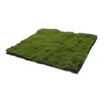Simulierter Moosrasen Zuschneidbare Matte Für Sandtisch Sandtisch-rasenmatte Sandtisch Rasen Gefälschter Rasen Rasenrasen Selber Machen Gefälschte Grasunterlage Green Schaum