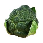 Simulierter Blumenkohl Gemüsemodelle Lebensechter Brokkoli Requisiten Präsentieren Küchendekoration Simulation Gefälschter Brokkolimodelle Künstliche Brokkoli-dekore Green Sch