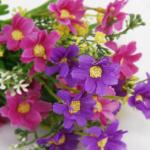 Zijdebloem boeket cineraria voor bruiloft party feest huis kantoor bar decor