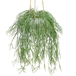 Kunstplant hangplant kunstmatige potplant koraalcactus kunst ripsalis kamer muur decoratie, hoogte 35,5 cm, in hanglamp