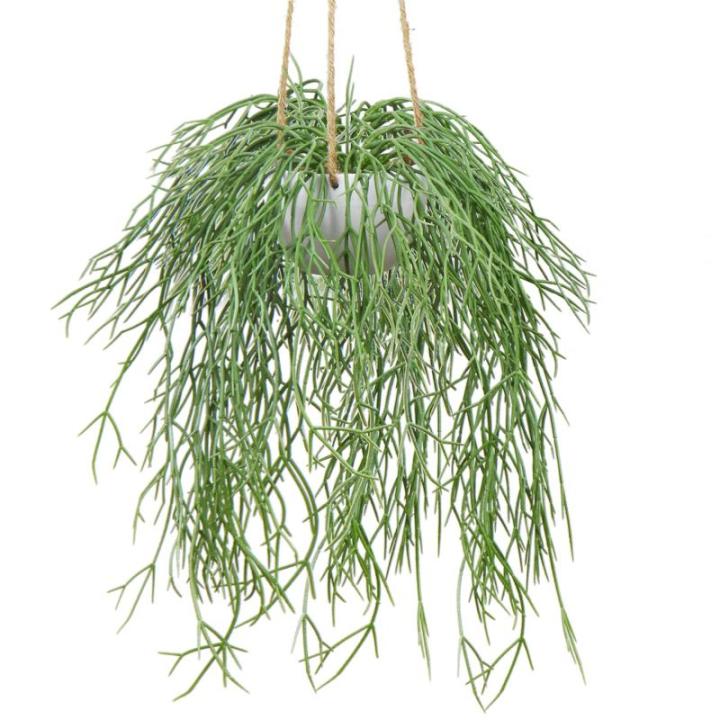Kunstplant hangplant kunstmatige potplant koraalcactus kunst ripsalis kamer muur decoratie, hoogte 35,5 cm, in hanglamp
