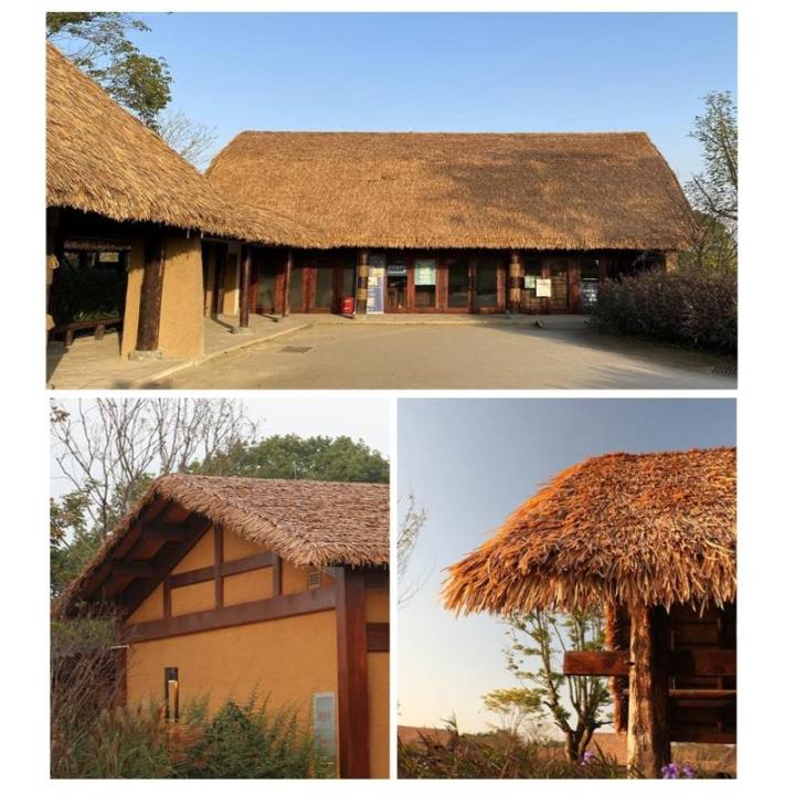 Simulation Strohfliesen aus Kunststoff feuerfest künstliches Stroh Palmblatt Strohpavillon Dachdekoration langlebiges gefälschtes Stroh für Strohdach am Meer (Color : Color13, S